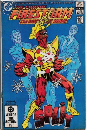 The Fury Of Firestorm issue 13